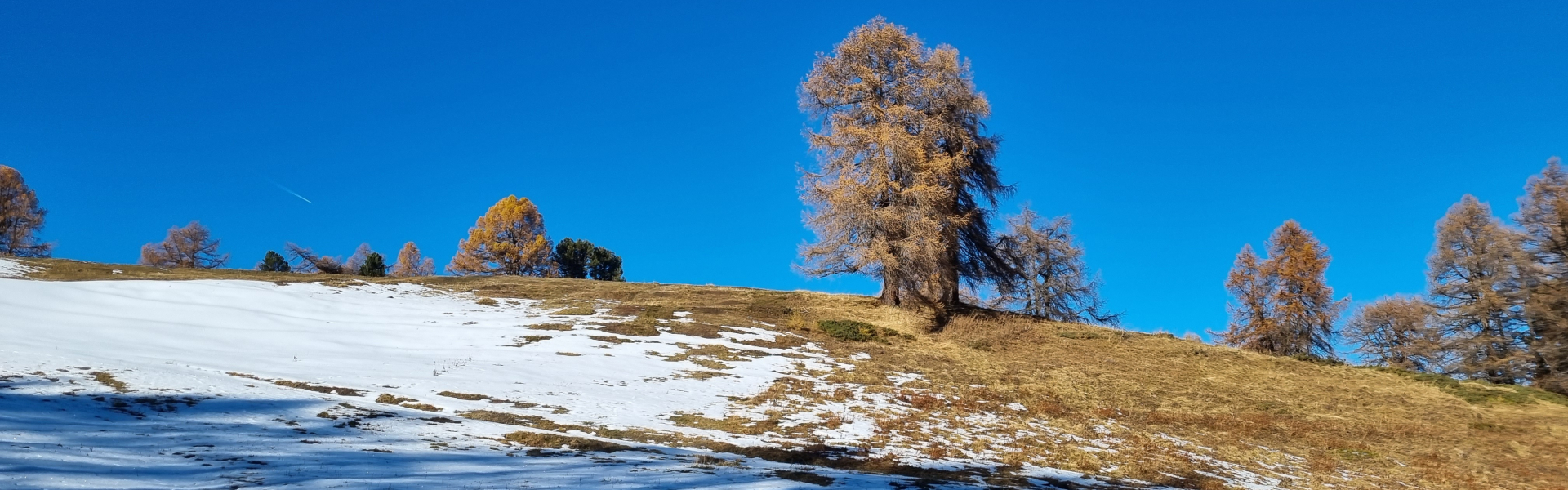 Intersport Slider Image