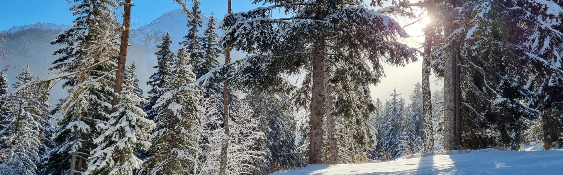 Intersport Slider Image