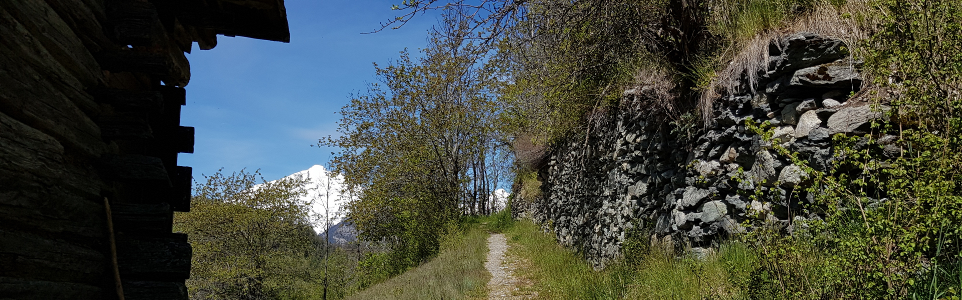 Intersport Slider Image